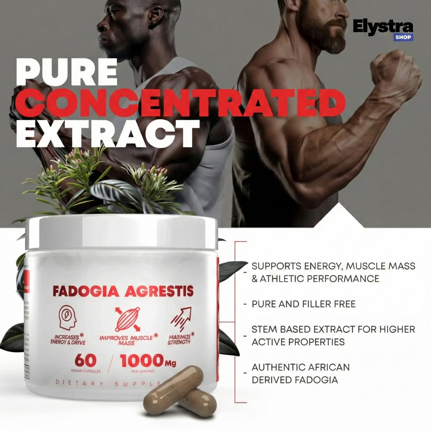 Fadogia Agrestis 1000mg